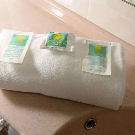 Hotel Roi Soleil -